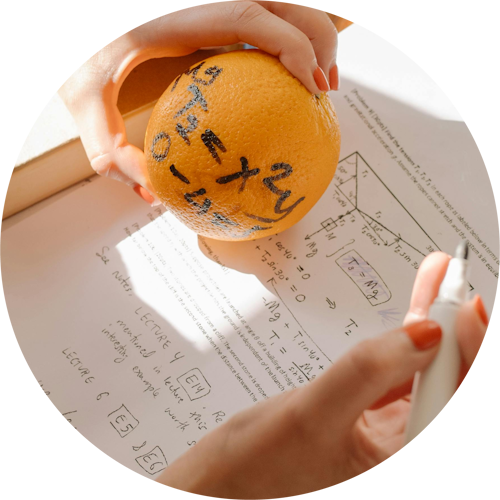 Skill Building and Enrichment